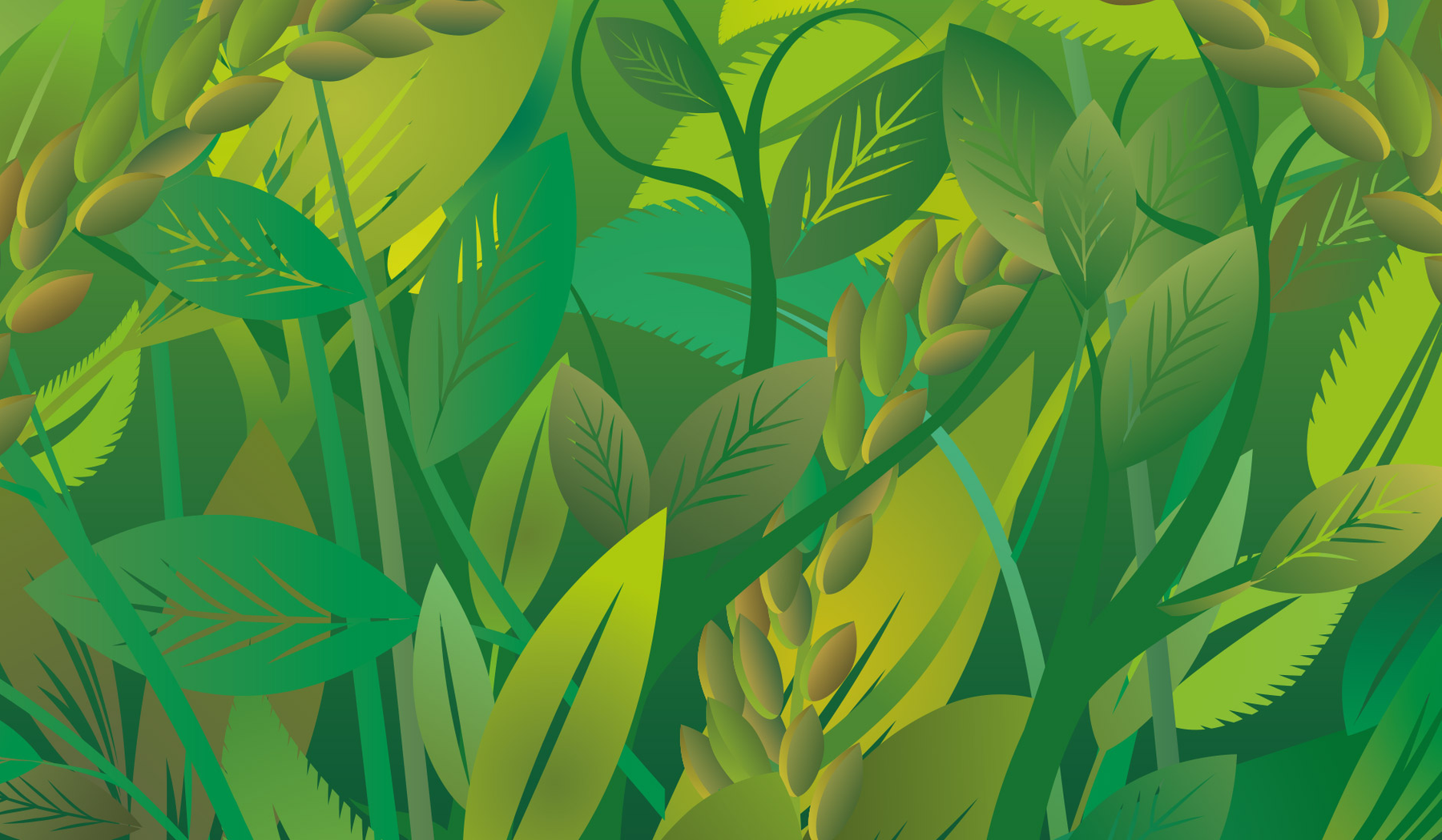 Vector based background design for animation